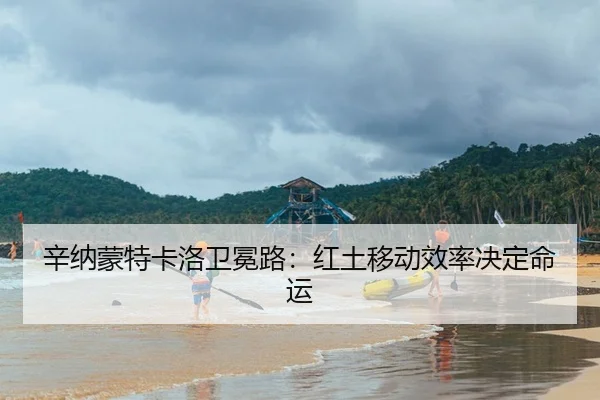 xin-na-meng-te-ka-luo-wei-mian-lu-hong-tu-yi-dong-xiao-lv-jue-ding-ming-yun-2-212.jpg